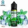 Subzero 50ml By VapFip