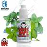 Aroma Ice Menthol 30ml By Vampire Vape