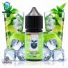 Pack Rasputin Mojito Apple (Sales de Nicotina) 22ml by Daruma Eliquids