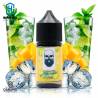 Pack Rasputin Mojito Mango (Sales de Nicotina) 22ml by Daruma Eliquids