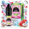 Sales Watermelon Coconut Ice 10ml Bar Juice By Bombo E-liquids