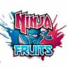 Ninja Fruits